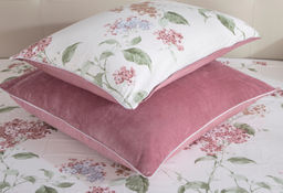 Бегония (маджента)