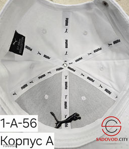 Летняя кепка унисекс хлопок - Bruno фото 18