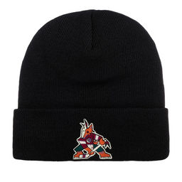 Шапка AMERICAN NEEDLE арт. 21019A-PCO Phoenix Coyotes Cuffed Knit NHL (черный)