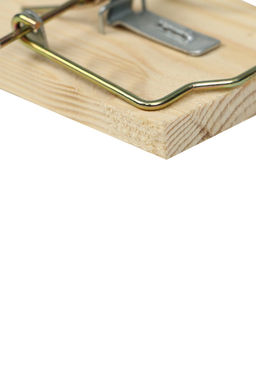 Цена за 2 шт. Крысоловка, 6 × 12 см, деревянная, Greengo