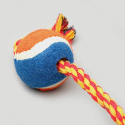 Игрушка тренировочная канатная с мячом, до 125 г, до 45 см, микс цветов - Пижон фото 4