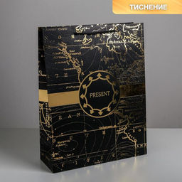 Пакет ламинированный вертикальный Gold present, L 31 40 11,5 см