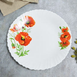 Тарелка обеденная Маки 24 см арт.MFK21046 /МФК/