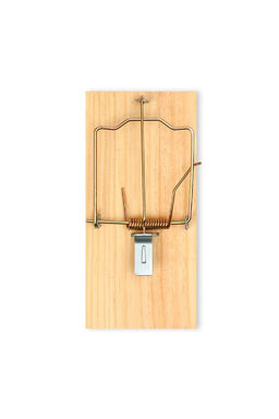 Цена за 2 шт. Крысоловка, 17 × 8 см, дерево, Greengo