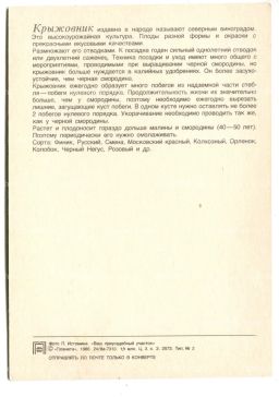 Открытка Крыжовник