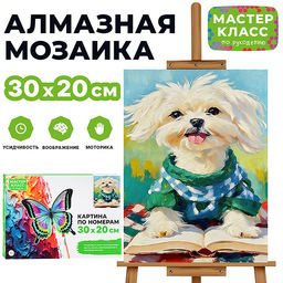 Картина по номерам "Читатель" 30х20 см.