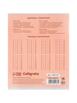 Тетради 10 штук, 18 листов в клетку Calligrata KIDS, серые листы, блок №2, 5 видов