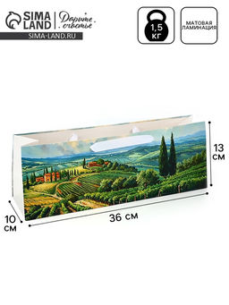 Цена за 2 шт. Пакет под бутылку «Сад», 36×10×13 см