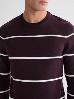 Bisiklet Yaka Uzun Kollu ?izgili Erkek Triko Kazak