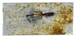 Значок Валдай