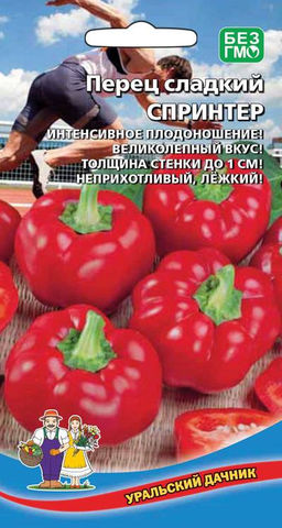 Перец СПРИНТЕР Интенсивное плодоношение! Великолепный вкус! Толщина стенки до 1 см! Неприхотливый! Лёжкий!