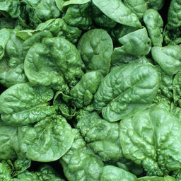 5120D Шпинат Крепыш 2гр