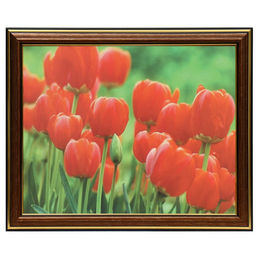 Картина «Тюльпаны», 20×25 (22×27) см