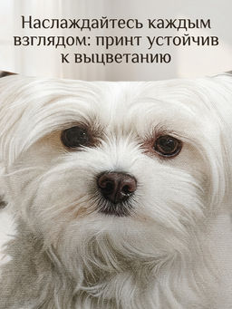 Наволочка декоративная Болонка 3D