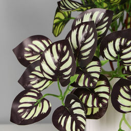 Искусственный цветок в горшке Калатея элегант, 9?19 см, зелёный