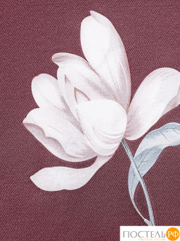 КПБ CASSIA СИЛЬВАН  фото 8