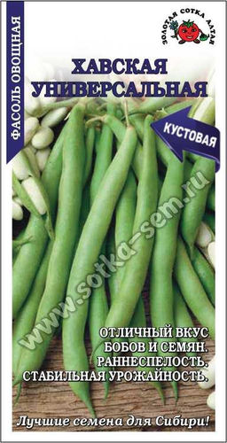 Фасоль кустовая Хавская универсальная 5г (Золотая сотка Алтая)