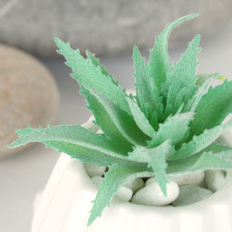 Суккулент искусственный 8х6,5 см / GN115 /уп 100/ - Галеонтрейд фото 5