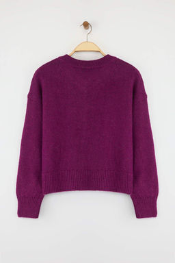 More Sustainable Fusya Alpaka Yunu Kar?s?ml? Premium/Ozel Iplik Triko H?rka | TWOAW26HI00000