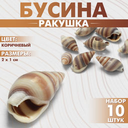 Бусины для творчества Ракушка, 2?1 см, завиток, набор 10 шт., коричневые