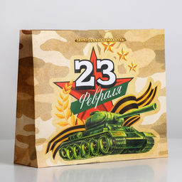 Цена за 2 шт. Пакет подарочный ламинированный, упаковка, «С 23 февраля», ML 25×21×8 см