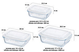 Набор 3 прямоугольных контейнеров 360 мл, 600 мл, 1000 мл с пластик. крышк. с защел., с сил.уплотн Elan Gallery