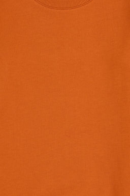 Базовый свитшот с корицей для мальчиков Неожиданная скидка в корзине - U.s. polo assn фото 3