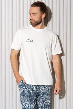 ФУТБОЛКА МУЖСКАЯ арт. 4107M-20272.1H-921.1219