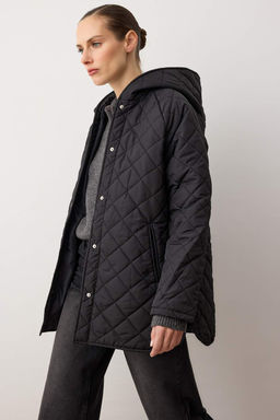 TRENDYOLMILLA Gri Kapusonlu Su Itici Kapitone Mont TWOAW23MO00131  фото 44