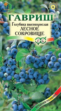 Голубика Лесное сокровище высокорослая 30шт (г)