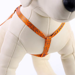 Комплект Чертовски хорош, шлейка 24-36 см, поводок 120х1 см - Пушистое счастье фото 5