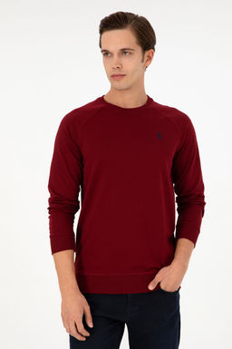 Свитшот мужской U.S. Polo Assn бордово-красный  фото 3
