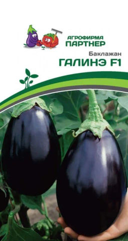Баклажан Галинэ