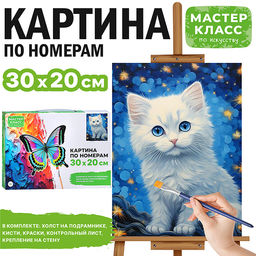 Набор для рисования "Картина по номерам30*20  см. Белая кошечка"