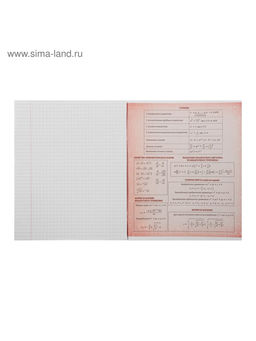 Цена за 10 шт. Тетрадь предметная, 48 листов в клетку Calligrata, Неон. Алгебра фото 5