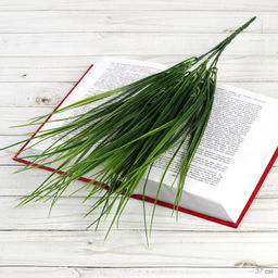 Цена за 10 шт. Зелень искусственный Осока Берграсс 37 см 7 веток / NT593 /уп 2/1500/