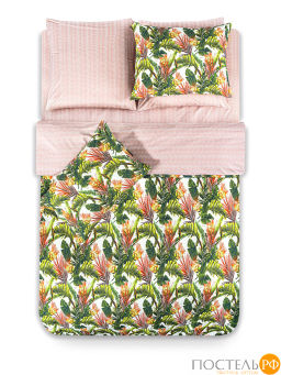 КПБ CASSIA БЕЛЕН  фото 4