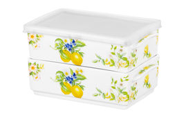Набор 2 блюд д/холодца 700 мл 19*12*11,5 см Лимоны NEW BONE CHINA - Elan gallery фото 4
