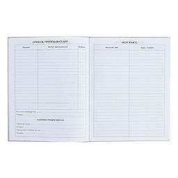 Дневник школьный для 1-11 классов «Аниме. Парень и небо», твёрдая обложка, глянцевая ламинация, 40 листов