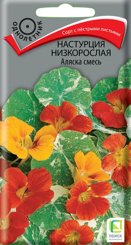 Настурция низкорослая Аляска смесь (ЦВ) (1) 1гр. - Поиск фото 2