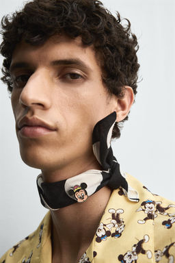 MORTY + FERDY SHIRT HARRY LAMBERT FOR ZARA X DISNEY  фото 5