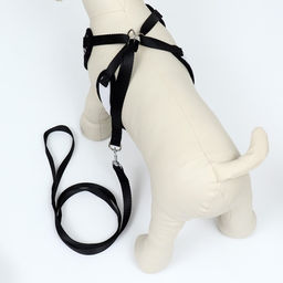 Комплект с мягкой шлейкойи бантиком Клетка, L, поводок 120 x 1,5 см, ОГ 35-50 см, чёрный 96837 - Пижон фото 3