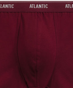 ATLANTIC 2RMH-011 Трусы шорты - набор (2 шт.) графитовый + каберне фото 5