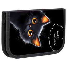 Пенал 1 отд. 200*130мм, ArtSpace "A curious kitten" (ПТ4_Л130003) ткань