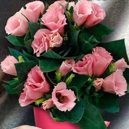 5196D Эустома Кармен F1 Роуз 5шт