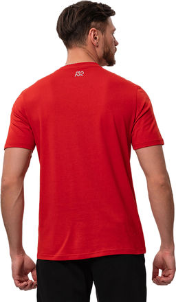 Футболка мужская