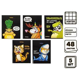 Комплект тетрадей из 5 шт, 48 листов, клетка, Кигуруми, обложка мелованный картон, блок офсет