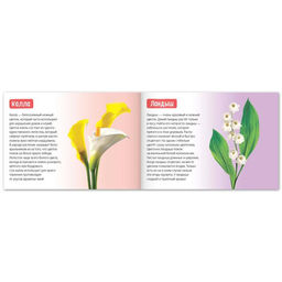 Обучающие книги набор Про всё на свете 6 шт. по 20 стр. - Буква-ленд фото 5