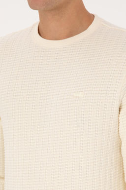 Erkek Regular Fit Bisiklet Yaka Desenli Krem Sweatshirt