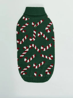 Свитер для питомца с принтом / Zarina